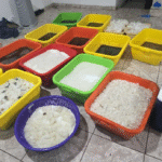 FGR logra vinculación a proceso por delitos contra la salud y armamento exclusivo del Ejército