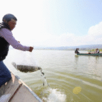 Gobierno de Delfina Gómez impulsa acuacultura: Estado de México sube al lugar 13 nacional en producción