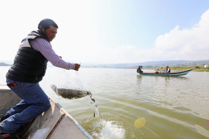 Gobierno de Delfina Gómez impulsa acuacultura: Estado de México sube al lugar 13 nacional en producción