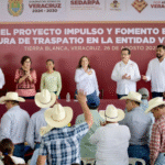 Rocío Nahle impulsa economía circular con entrega de 5 mil módulos avícolas en Veracruz