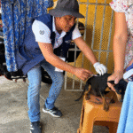 Ayuntamiento de Tapachula aplica 295 vacunas durante Jornada Antirrábica