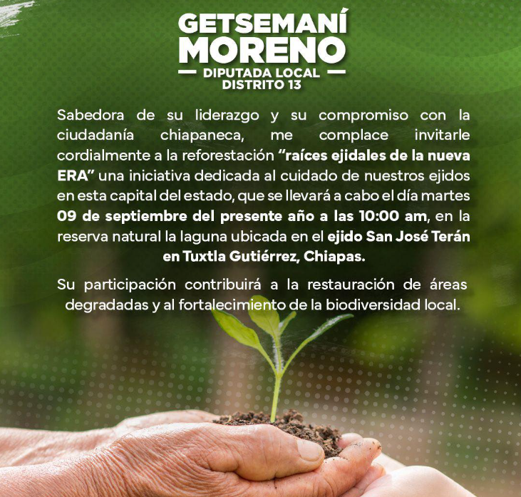 Congreso de Chiapas convoca a jornada de reforestación “Raíces Ejidales de la Nueva ERA”