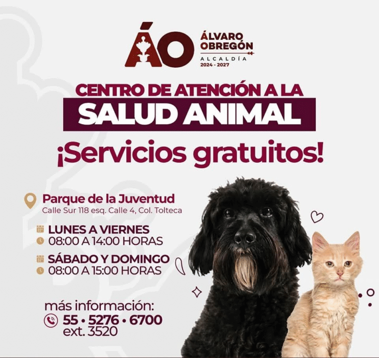 Alcaldía Álvaro Obregón fortalece bienestar animal con Centro de Atención gratuito