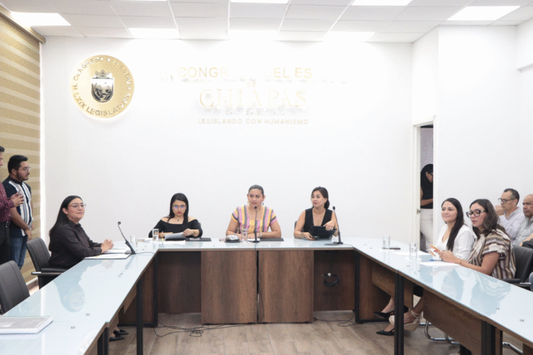 Comisión Permanente aprueba desincorporación de predios a municipios de Palenque y Arriaga