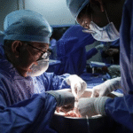 IMSS consolida liderazgo en donación y trasplante de órganos; proyecta más de 3 mil 700 procedimientos en 2025