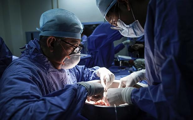 IMSS consolida liderazgo en donación y trasplante de órganos; proyecta más de 3 mil 700 procedimientos en 2025