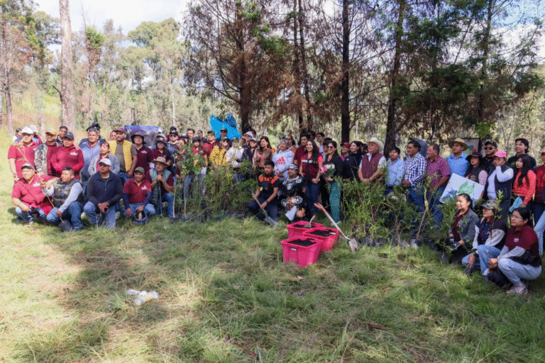 Gobierno de Cholula impulsa la 4ª Jornada de Reforestación “Raíces de Agua”