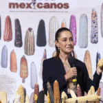 Presidenta Claudia Sheinbaum anuncia el programa “Sin maíz no hay país” para fortalecer la producción con bienestar