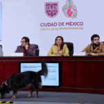 Clara Brugada anuncia Plan de Reordenamiento del Comercio y Seguridad en el Centro Histórico de la Ciudad de México