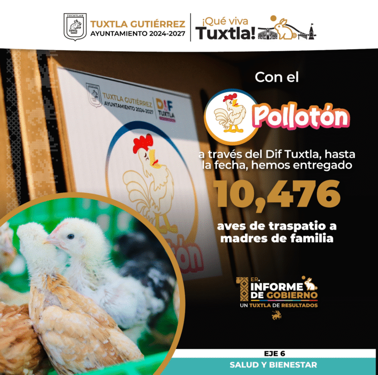 Resalta Ángel Torres programas sociales en su Primer Informe de Gobierno