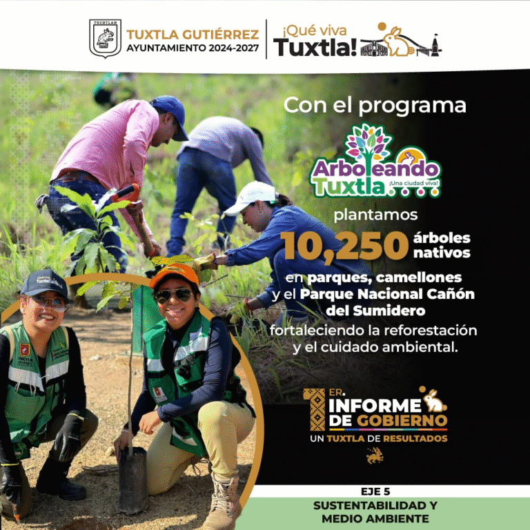 En su Primer Informe, Ángel Torres destaca acciones a favor del medio ambiente