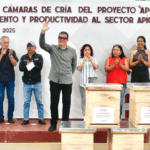 Tapachula impulsa la apicultura con entrega de cámaras de cría a productores de miel