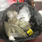 FGR obtiene sentencia de más de siete años de prisión contra individuo detenido con drogas y armas en Chihuahua