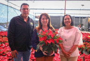 Morelos lidera producción nacional de Nochebuena con seis millones de plantas: González Saravia inaugura Expo Venta 2025