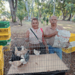 Tapachula entrega paquetes avícolas de traspatio a jefas de familia para fortalecer seguridad alimentaria