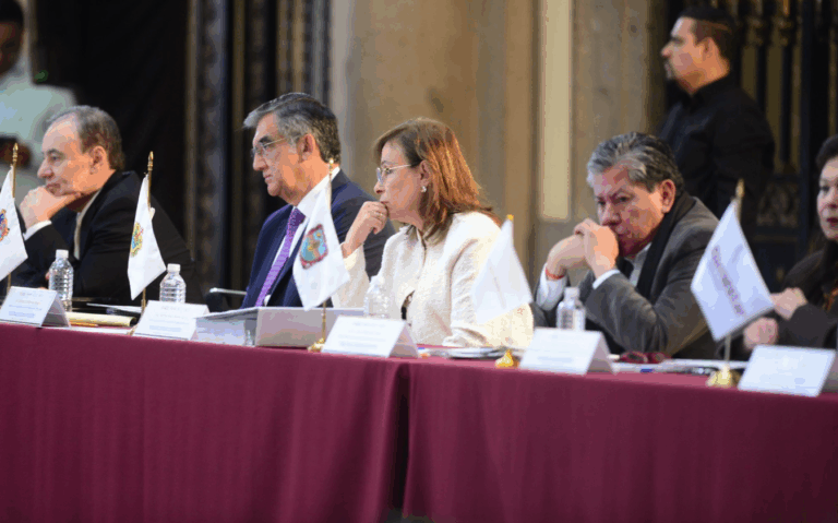 Rocío Nahle participa en sesiones del Consejo Nacional de Seguridad y Protección Civil