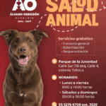 Álvaro Obregón garantiza bienestar animal con servicios gratuitos en su Centro de Atención a la Salud Animal