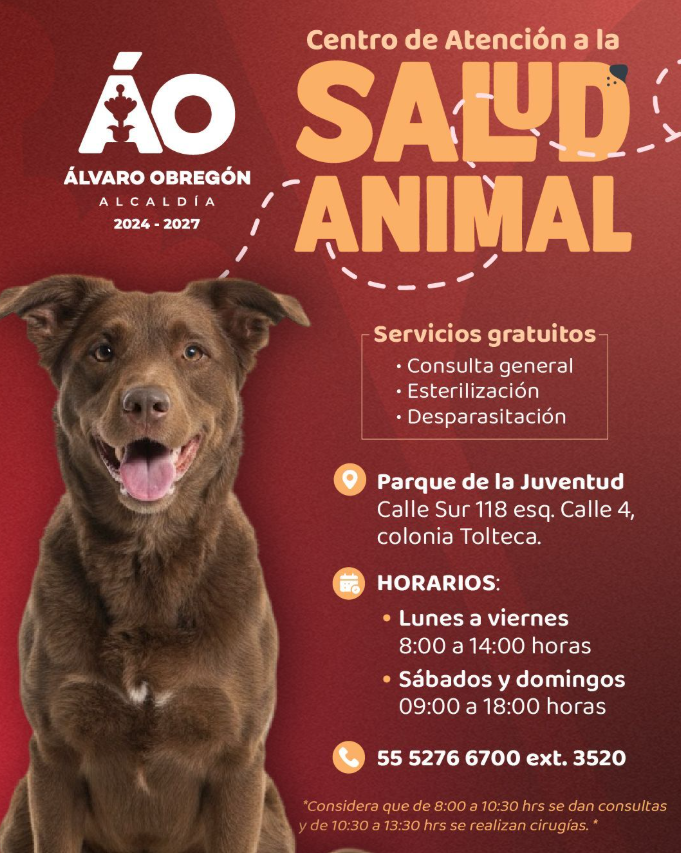 Álvaro Obregón garantiza bienestar animal con servicios gratuitos en su Centro de Atención a la Salud Animal
