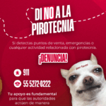 Álvaro Obregón llama a evitar uso de pirotecnia durante celebraciones decembrinas