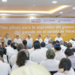Yucatán lidera estrategia nacional contra el gusano barrenador del ganado