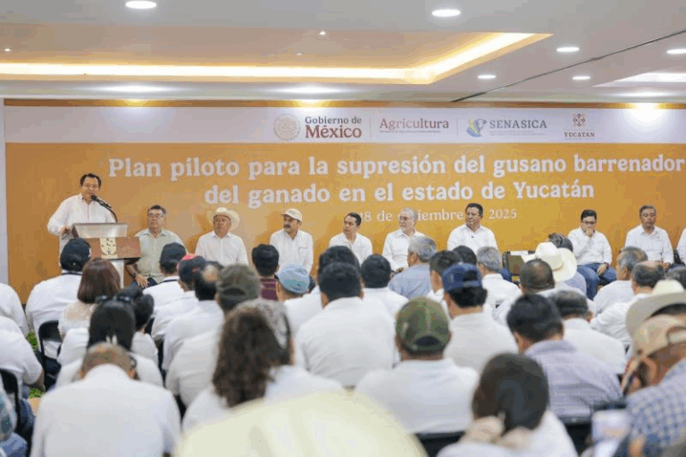 Yucatán lidera estrategia nacional contra el gusano barrenador del ganado