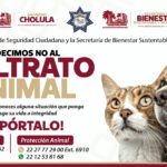 Gobierno de Cholula exhorta a denunciar el maltrato animal y refuerza acciones de prevención