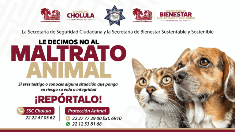 Gobierno de Cholula exhorta a denunciar el maltrato animal y refuerza acciones de prevención