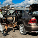 Binomios canófilos refuerzan vigilancia de la Guardia Nacional en puntos estratégicos