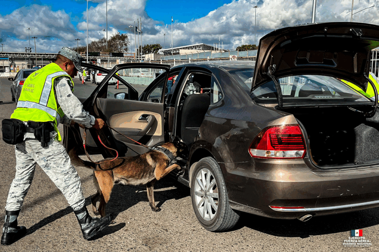 Binomios canófilos refuerzan vigilancia de la Guardia Nacional en puntos estratégicos