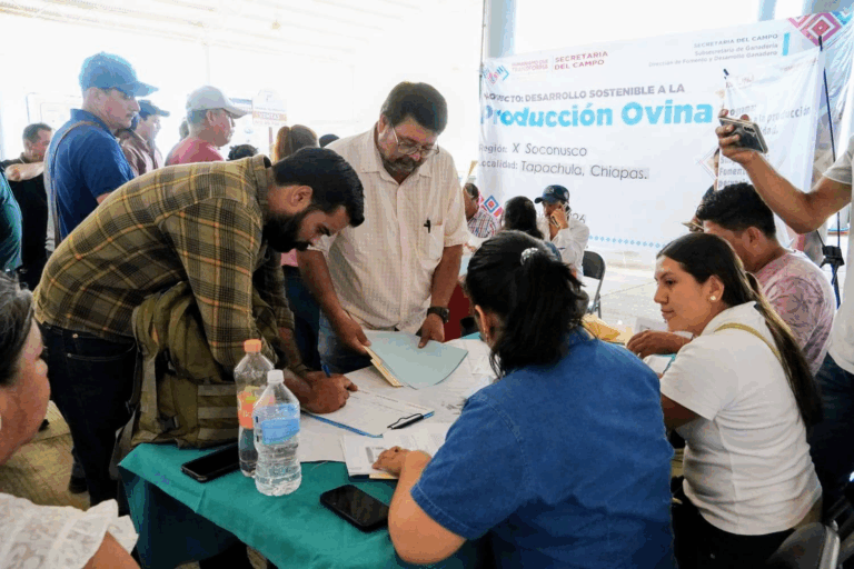 Inicia en Tapachula programa de canje de sementales para fortalecer al sector ganadero