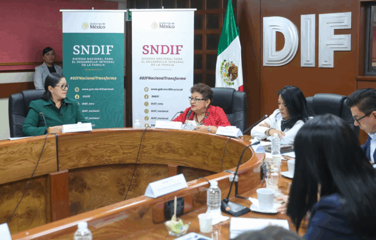 Estado mexicano debe garantizar protección a niñas, niños y adolescentes en orfandad por feminicidio: Ernestina Godoy