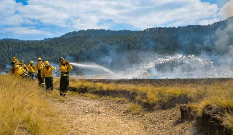 Edomex llama a prevenir incendios forestales en Semana Santa y despliega más de 270 combatientes
