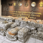 FGR logra vinculación a proceso tras decomiso de casi 700 kilos de marihuana en Puebla