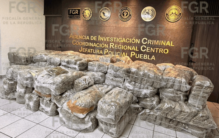 FGR logra vinculación a proceso tras decomiso de casi 700 kilos de marihuana en Puebla