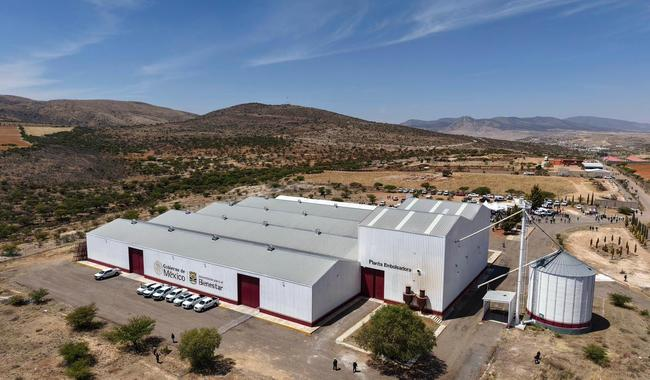 Sheinbaum anuncia autosuficiencia de frijol y amplía apoyos a productores desde Zacatecas