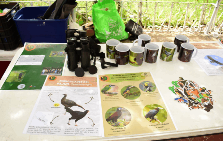 Berriozábal realiza la 1ra Feria Ambiental Zoque 2026 para promover la conciencia ecológica