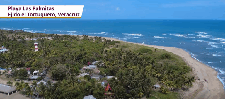Pemex destaca playas de Veracruz limpias y seguras para el turismo