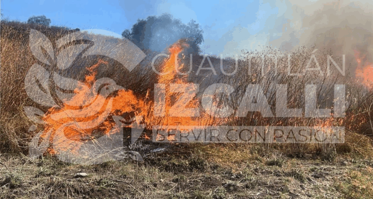 Controlan incendio de pastizal en Cuautitlán Izcalli sin afectaciones