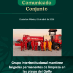 Mantienen brigadas permanentes de limpieza en playas del Golfo