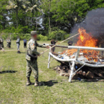 FGR destruye más de 400 kilos de narcóticos en Tapachula