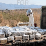 FGR incinera más de cuatro toneladas de cocaína asegurada en operativos de seguridad