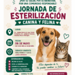 Álvaro Obregón convoca a jornada de esterilización para fortalecer el bienestar animal