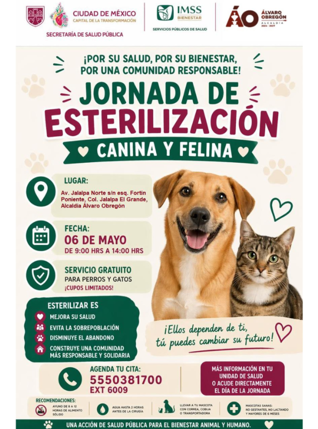 Álvaro Obregón convoca a jornada de esterilización para fortalecer el bienestar animal