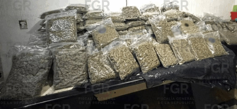 FGR logra vinculación a proceso de tres personas por posesión de más de 100 kilos de marihuana en CDMX