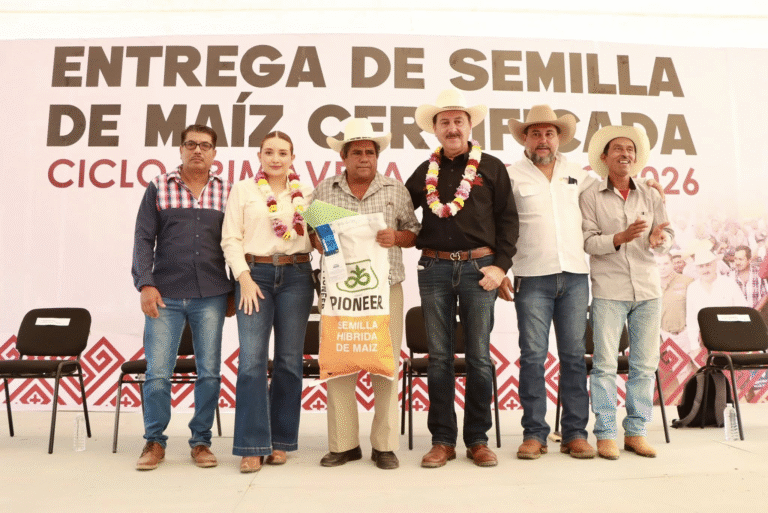 Más de 12 mil productores reciben semilla certificada de maíz en Villaflores
