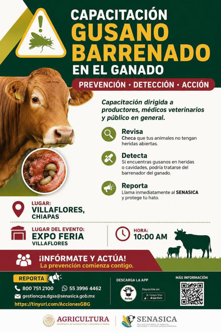 Invitan en Villaflores a capacitación sobre gusano barrenador en el ganado