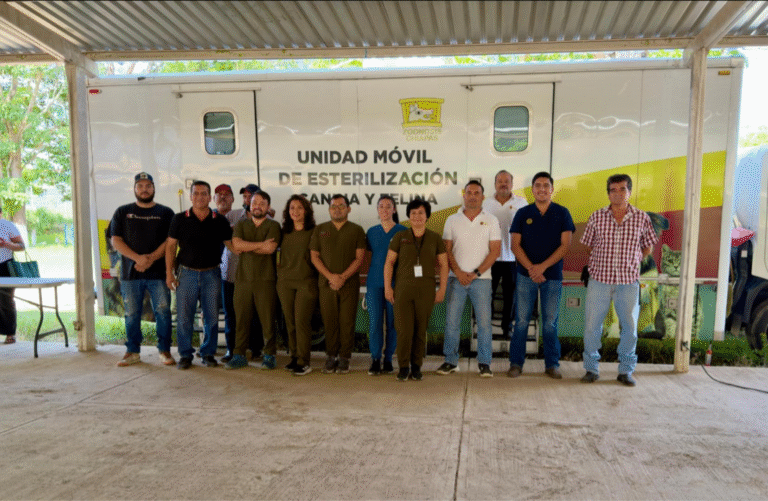 Realizan campaña de esterilización de mascotas en Villaflores