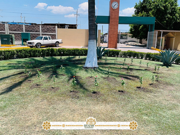 Gobierno de Izúcar impulsa reforestación y embellecimiento en unidad deportiva