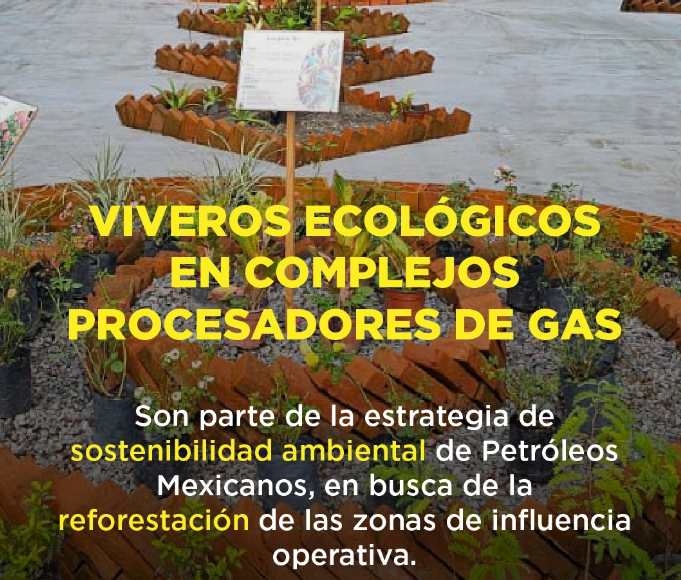 Pemex impulsa acciones con impacto ambiental y social sostenible