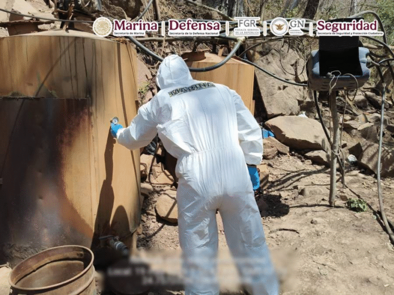 Autoridades federales desmantelan tres laboratorios clandestinos en Sinaloa